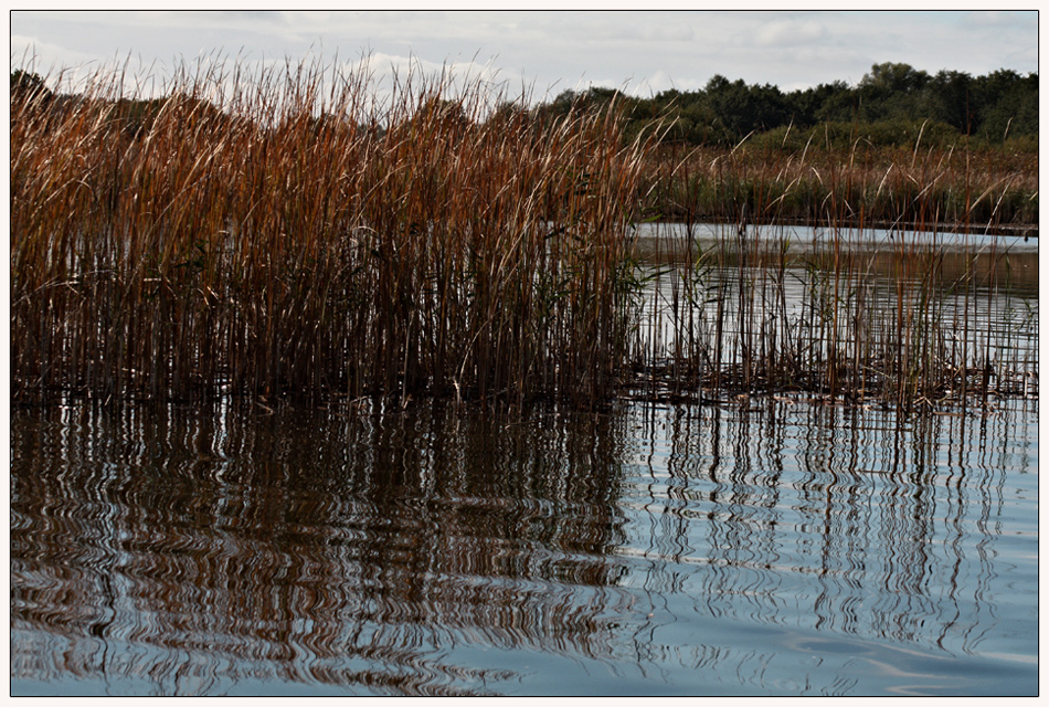 Herbst an der Müritz-Elde-Wasserstraße