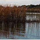 Herbst an der Müritz-Elde-Wasserstraße