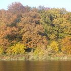 Herbst an der Mulde 1/L'automne sur la Mulde