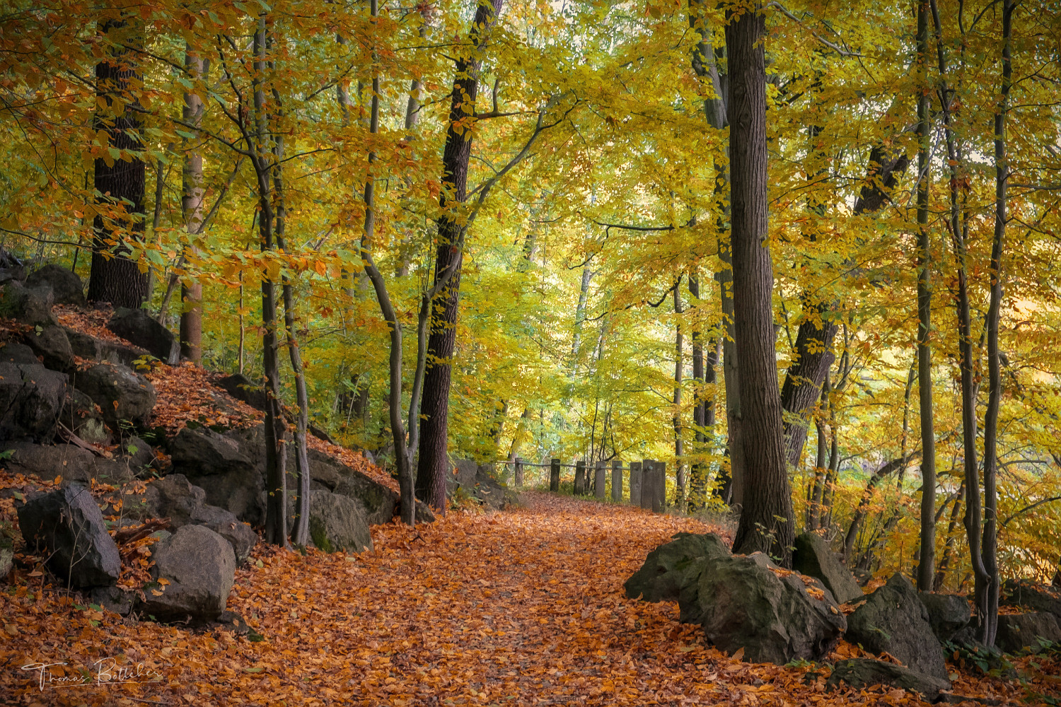 Herbst an der Mulde