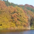 Herbst an der Mulde /L'automne sur la Mulde