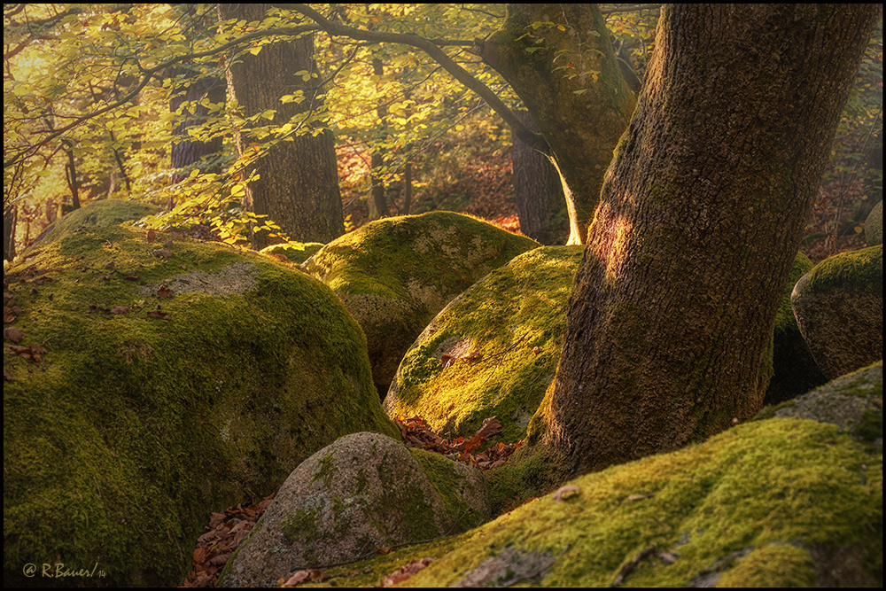 Herbst an der Murg