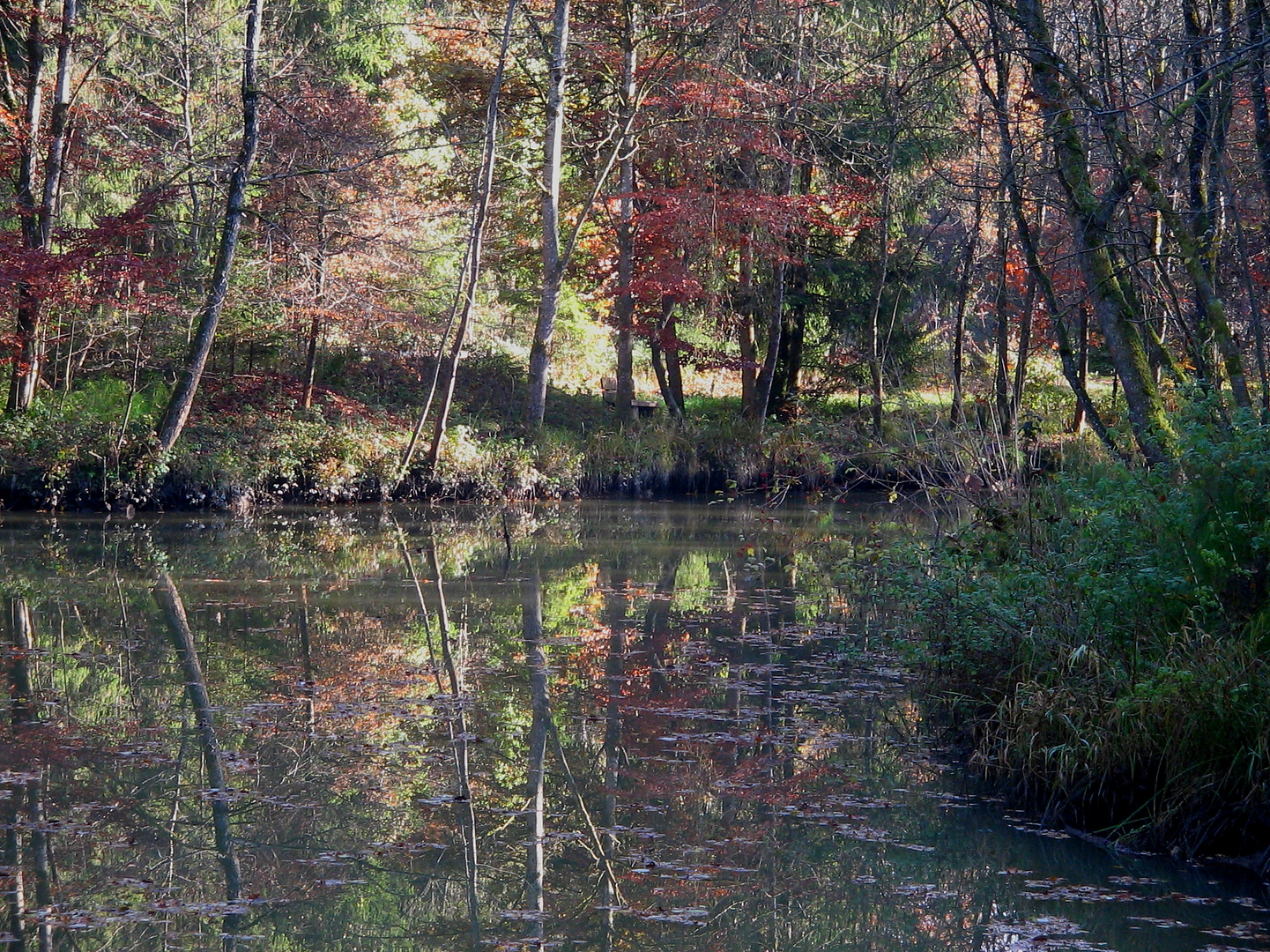 Herbst an der Murn