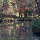 Herbst an der Murn