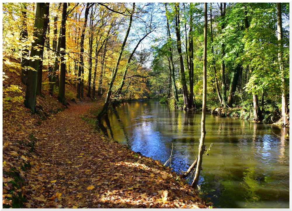 Herbst an der Naab