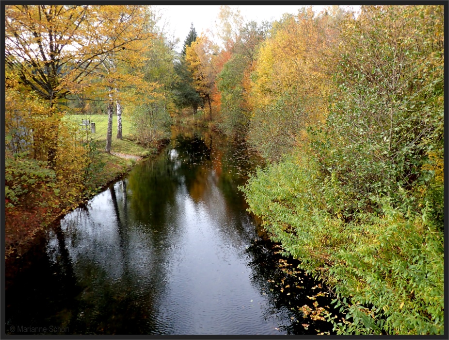 Herbst an der Nagold...