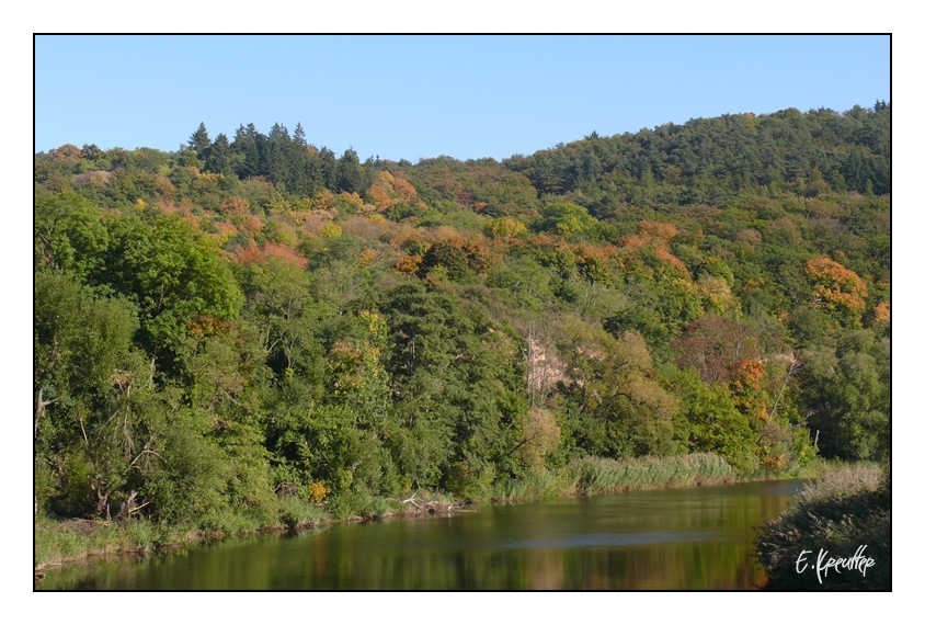 Herbst an der Nahe