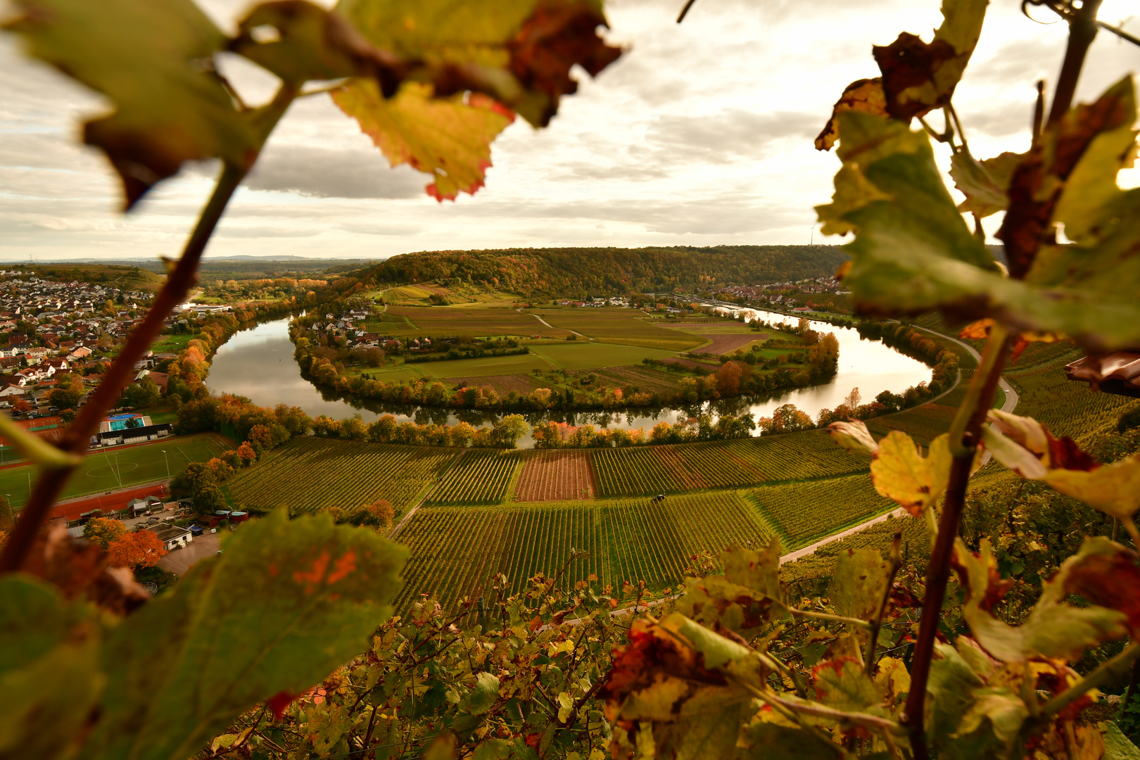 Herbst an der Neckarschleife bei Mundelsheim