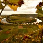 Herbst an der Neckarschleife bei Mundelsheim