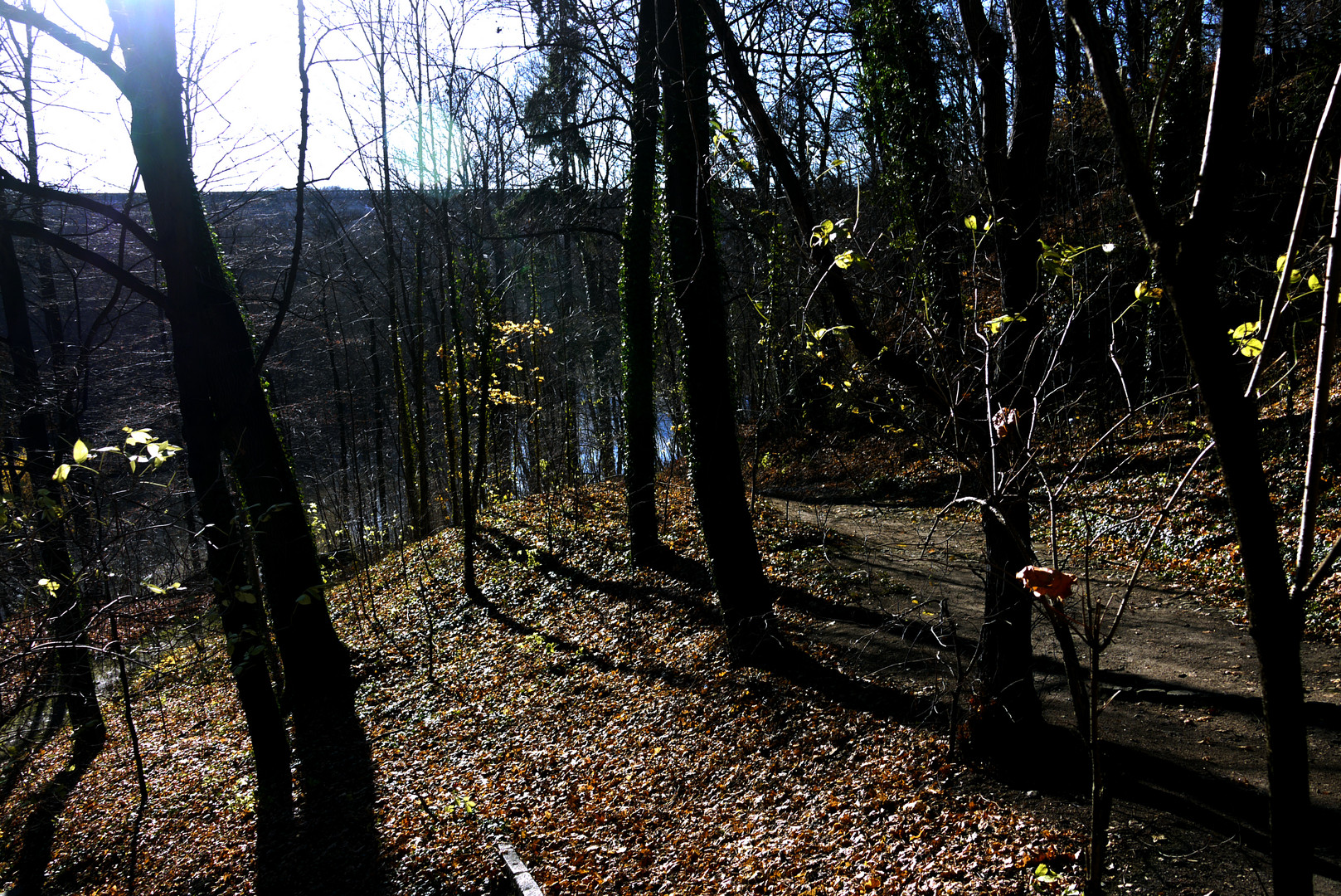 Herbst an der Neisse