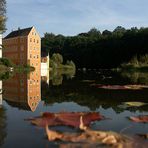 herbst an der neiße