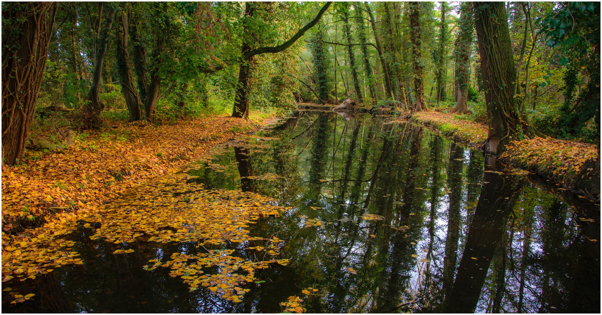 Herbst an der Nette