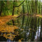 Herbst an der Nette