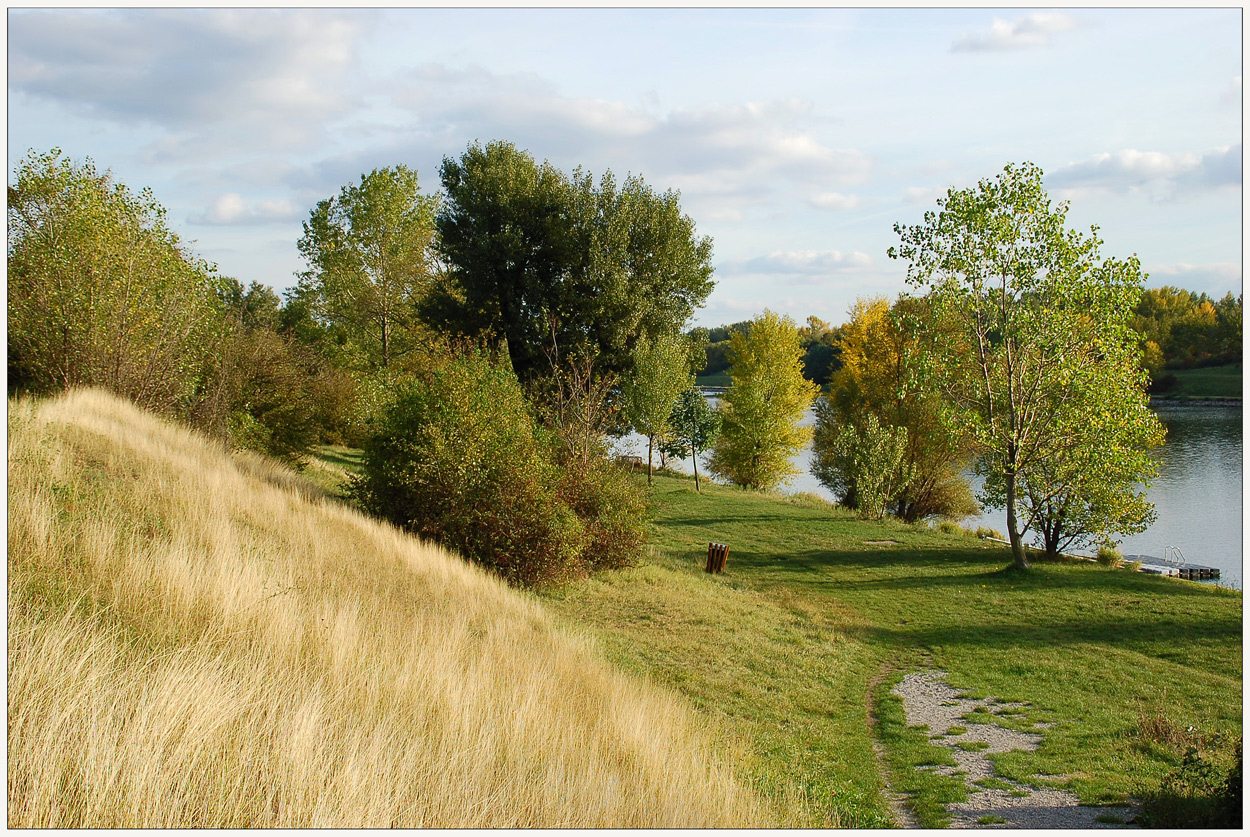 Herbst an der Neuen Donau -2-