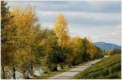 Herbst an der Neuen Donau