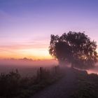 Herbst an der Niers