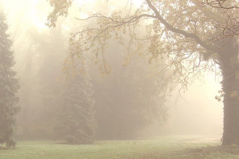 Herbst an der Niers