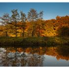 Herbst an der Niers