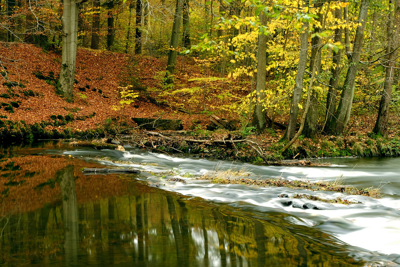 Herbst an der Nister 