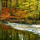 Herbst an der Nister 