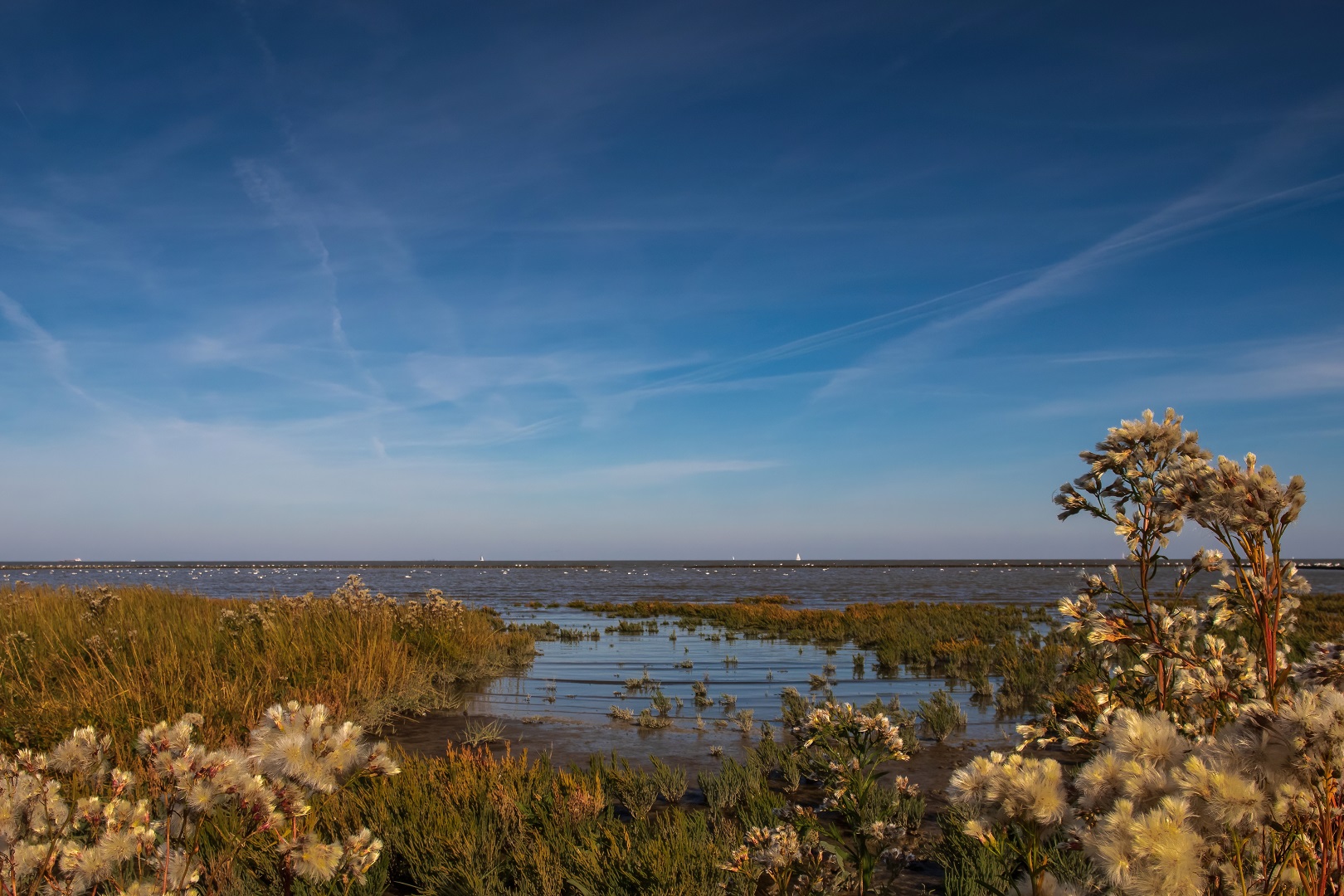 Herbst an der Nordsee