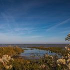 Herbst an der Nordsee