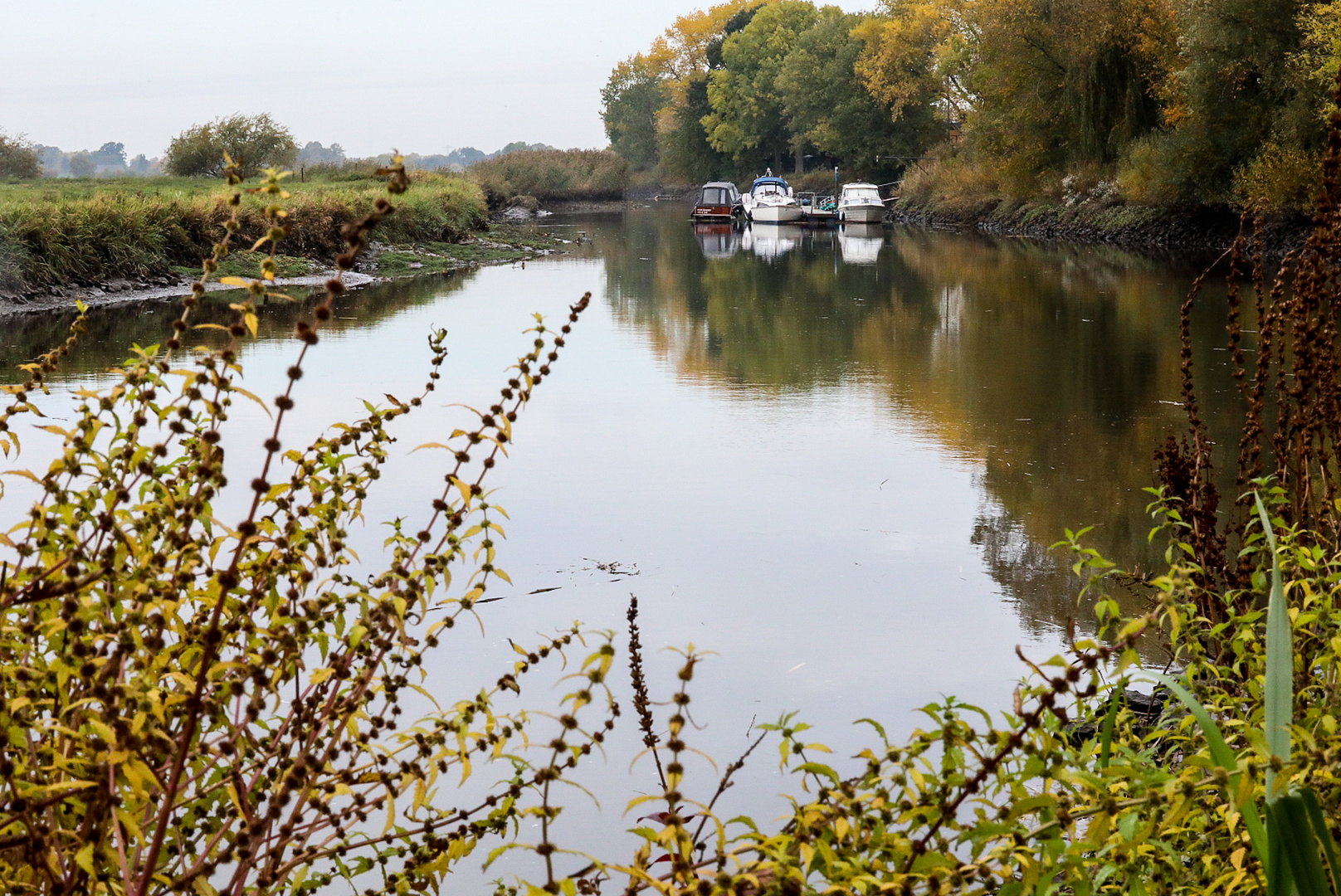 Herbst an der Ochtum