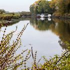 Herbst an der Ochtum