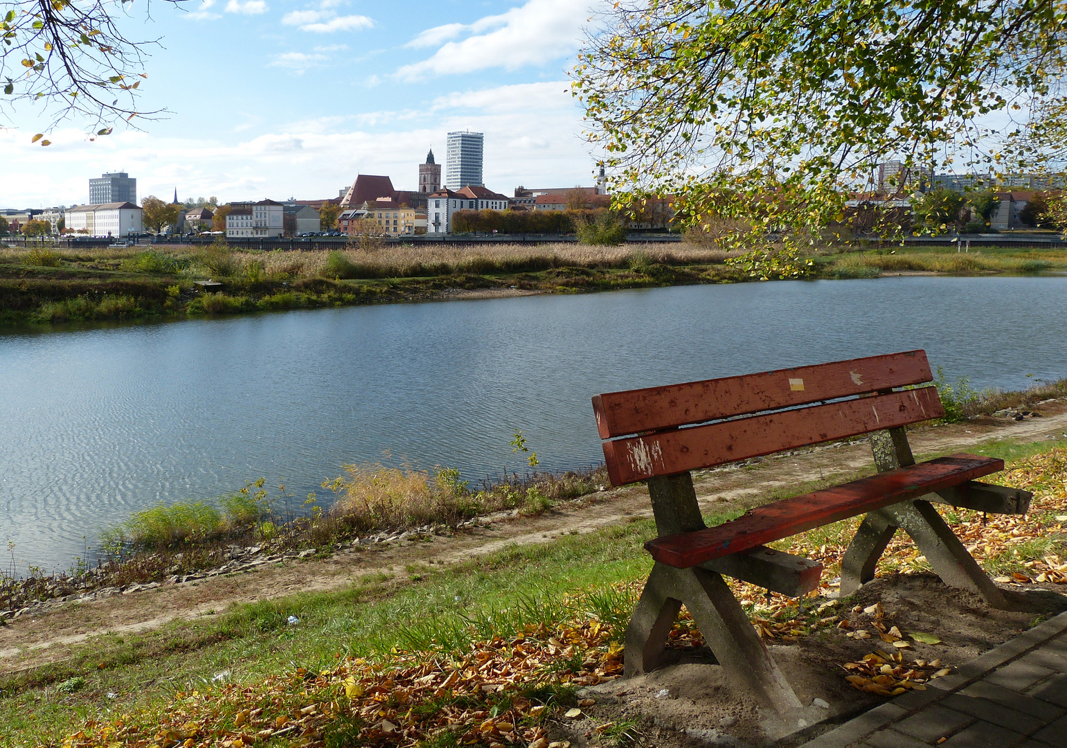 Herbst an der Oder