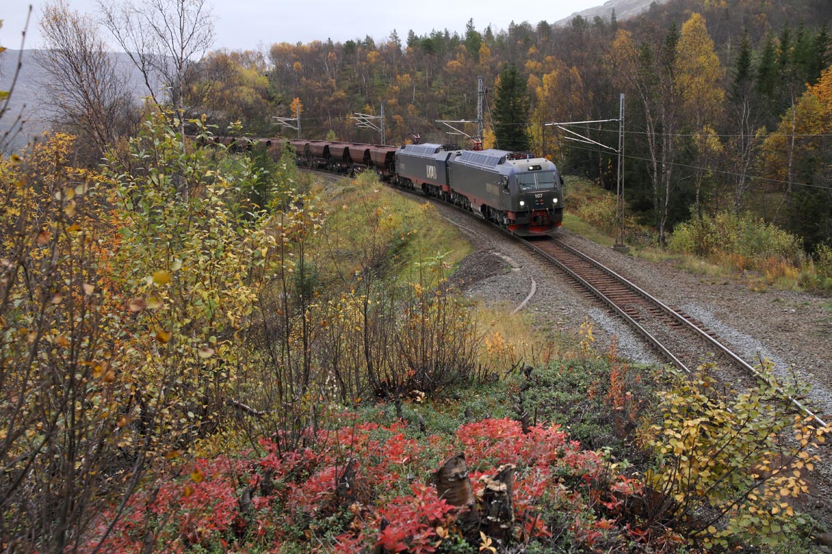 Herbst an der Ofotbahn