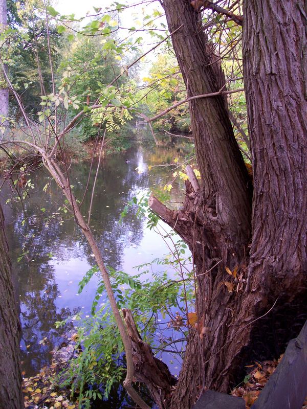 Herbst an der Oker