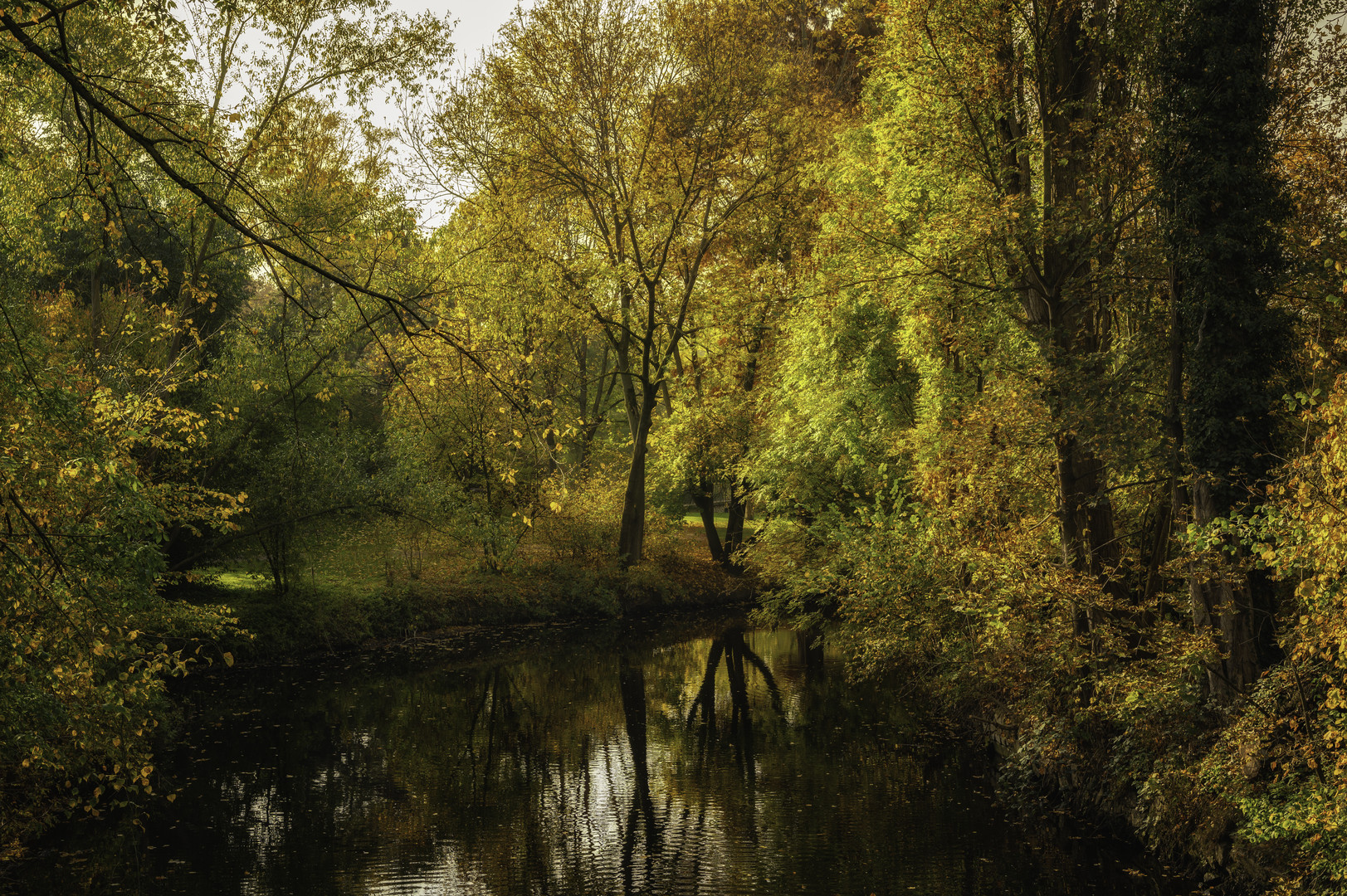 Herbst an der Oker