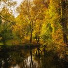 Herbst an der Oker