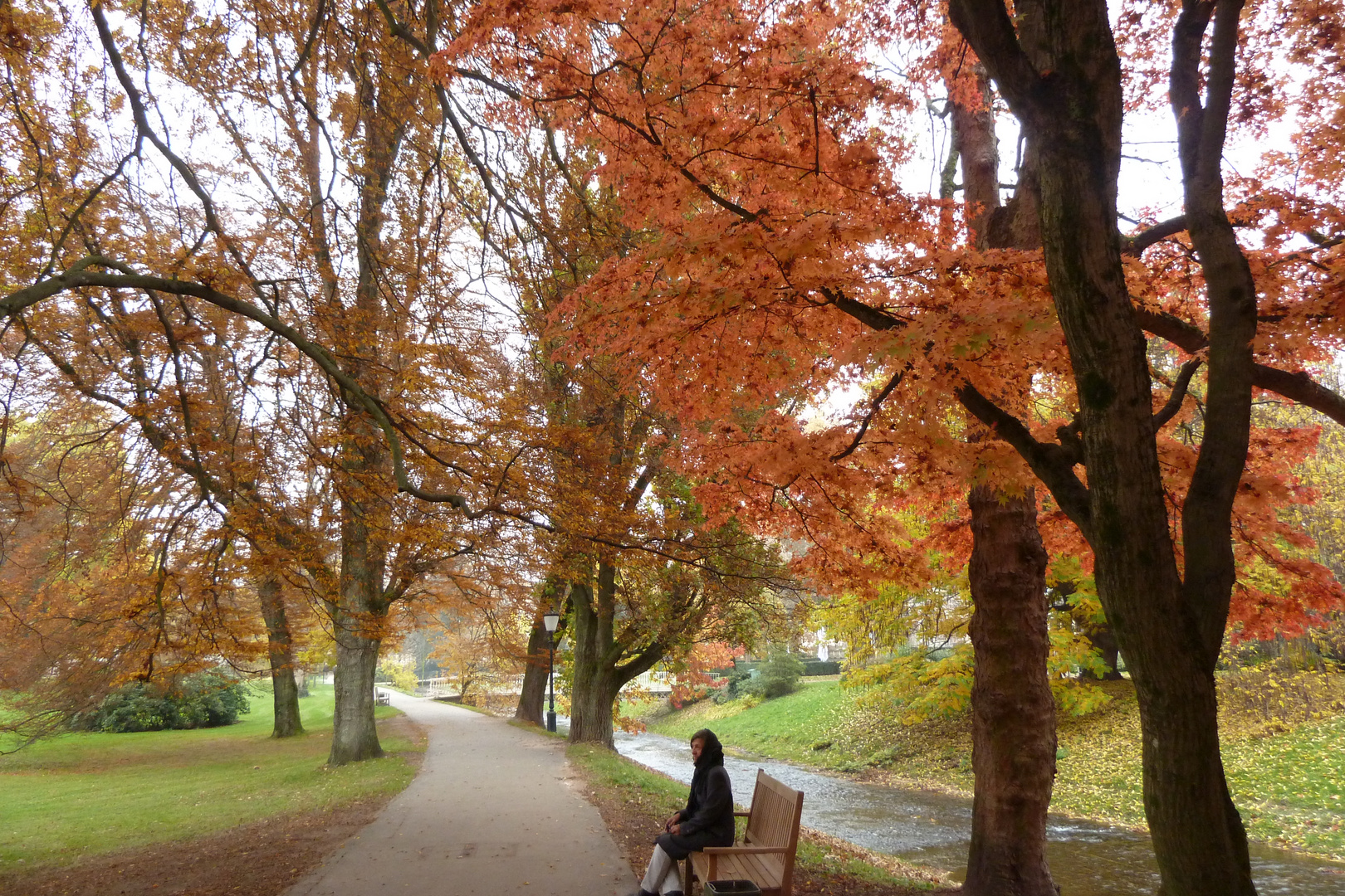 Herbst an der Oos/Baden-Baden