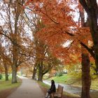 Herbst an der Oos/Baden-Baden