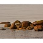 Herbst an der Ostsee