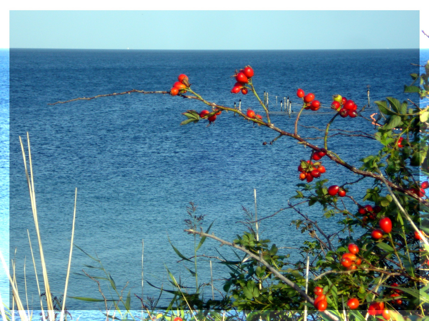 Herbst an der Ostsee