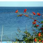 Herbst an der Ostsee