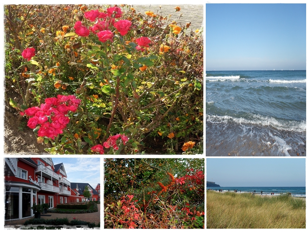 Herbst an der Ostsee