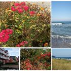 Herbst an der Ostsee