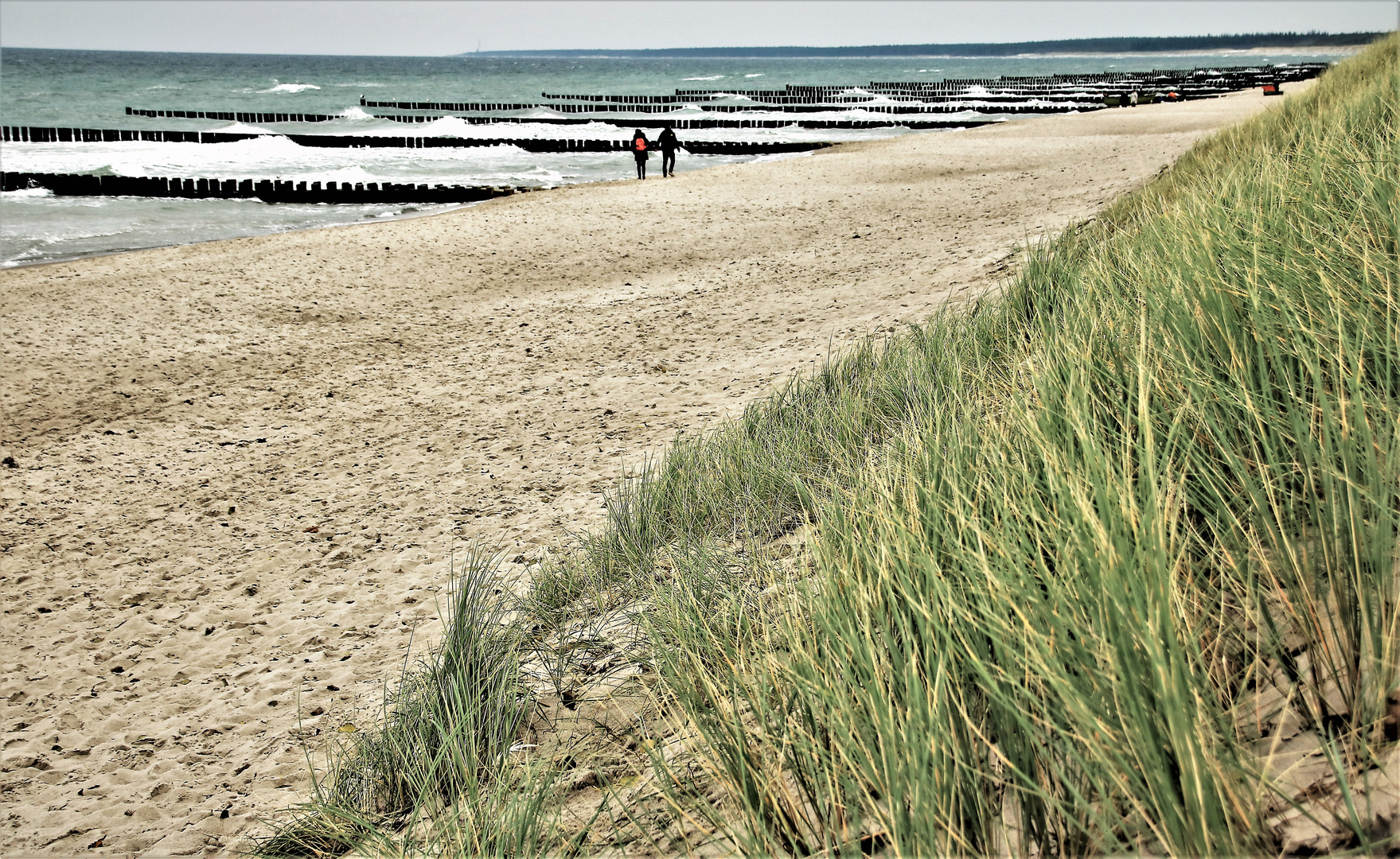Herbst an der Ostsee Foto & Bild | landschaft, meer & strand, dünen ...