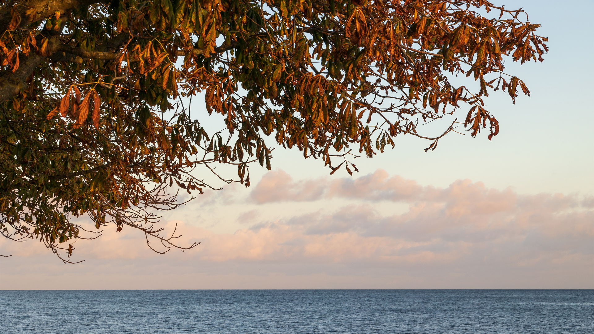 Herbst an der Ostsee