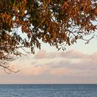 Herbst an der Ostsee