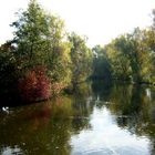 Herbst an der Pegnitz (2)