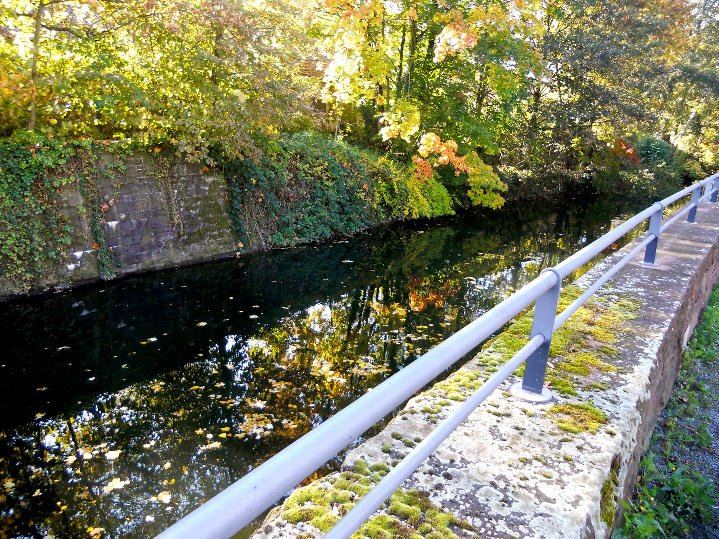 Herbst an der Pfinz