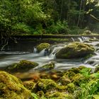 Herbst an der Pießling