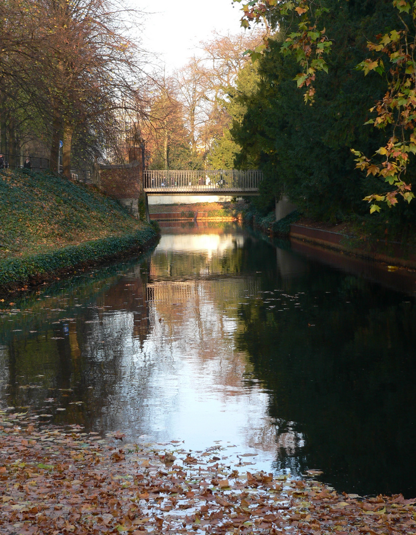 Herbst an der Promenade in Münster