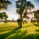 Herbst an der Rheinaue