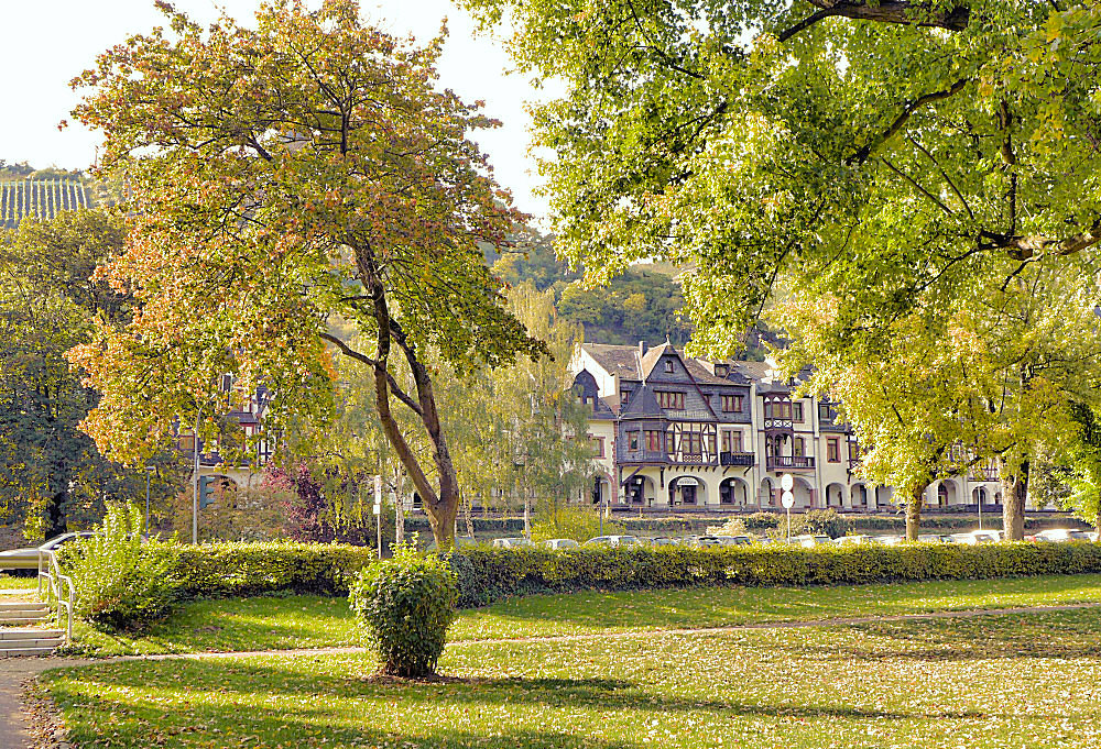 Herbst an der Rheinseite von Bacharach