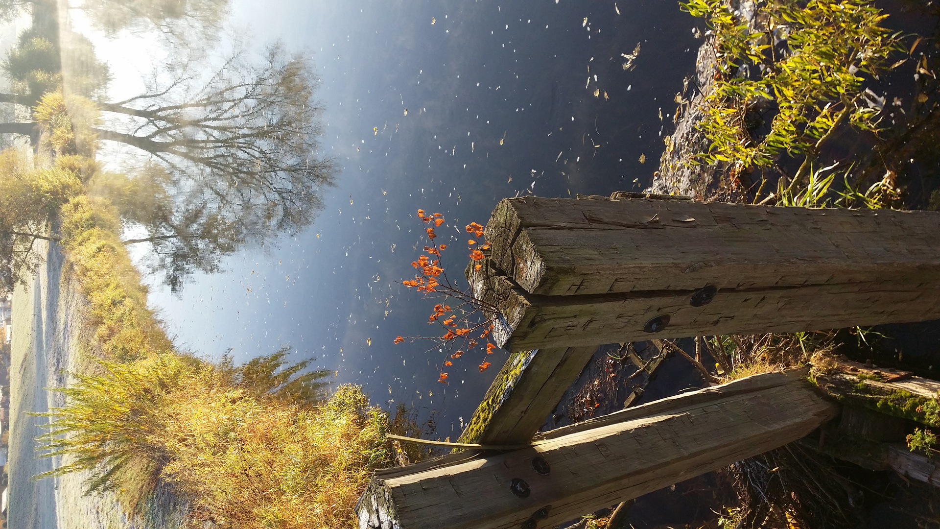 Herbst an der Rhume